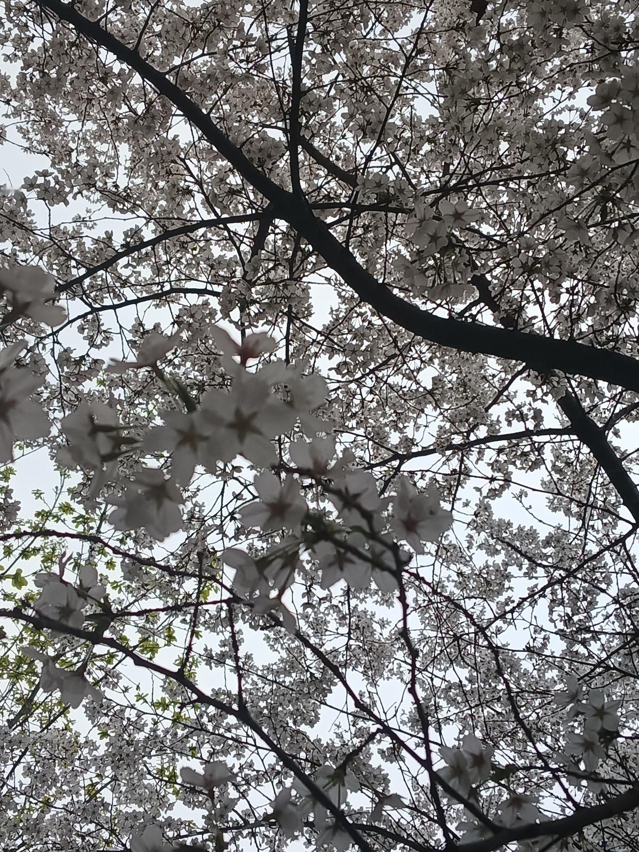 夏日打卡