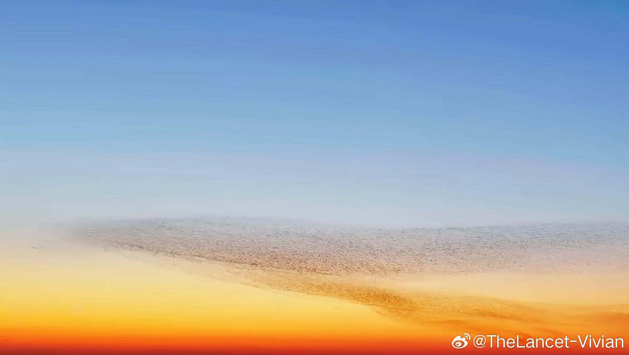 北冥有鱼，其名为鲲，化而为鸟，其名为鹏具象化。 ​​​