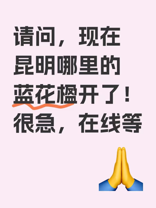 很急很急！！有没有本地的朋友！！