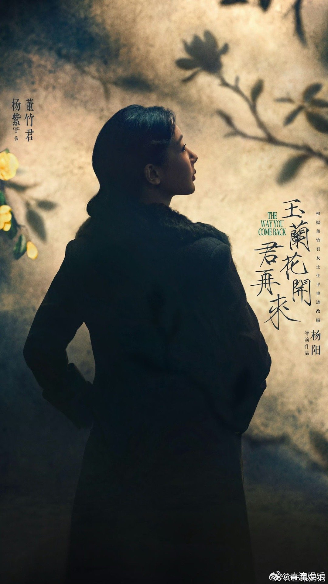 玉兰花开君再来玉兰花开君再来开机杨紫《玉兰花开君再来》开机，光是一个背影故事感就