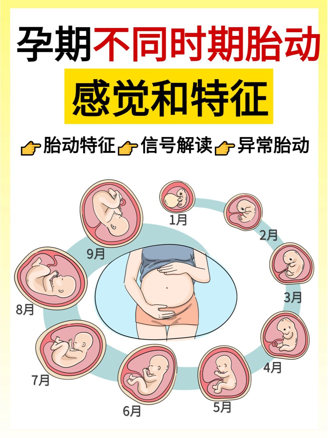异常胎动要警惕！新手孕妈数胎动