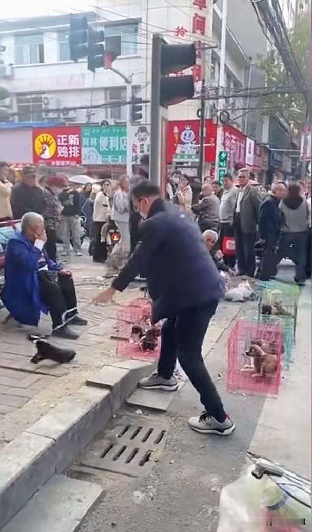 某地一男子在街边卖狗摊贩处花了五十元买了一只小狗，在家养了几天后，跑到卖狗摊贩处