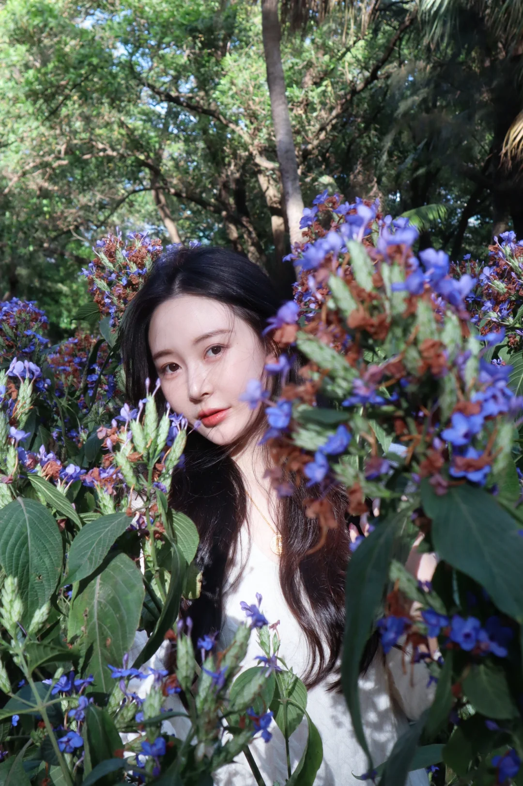 误入了莫奈的花园