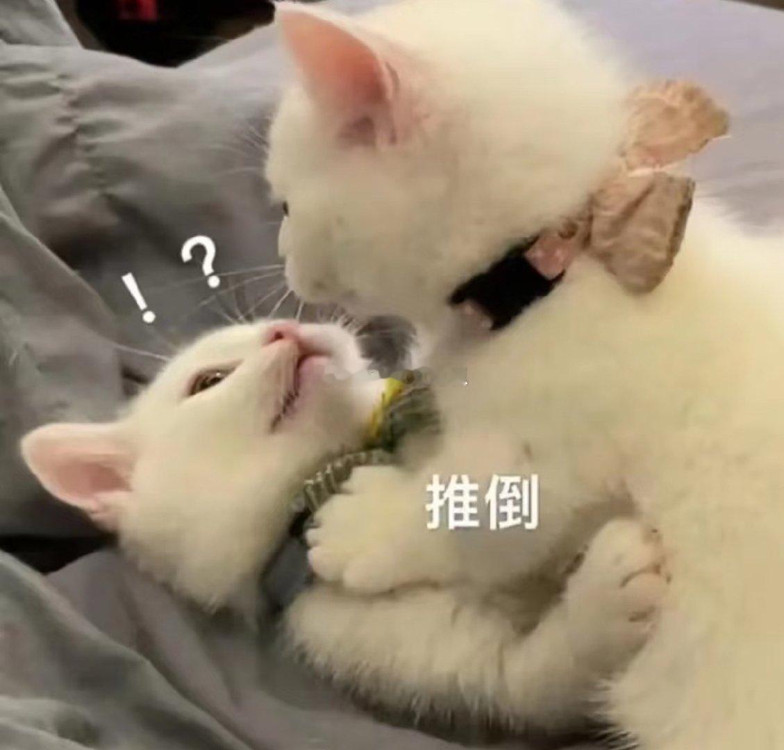 饭饭来啦～群里的宝宝们都优先观看过啦我再发一遍嘿嘿我坐在🐺的腿上，双手环着他的