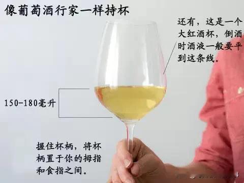 葡萄酒的饮用规矩很多，不同品种的葡萄酒倒多少；不同葡萄酒用什么样的葡萄酒杯；不同