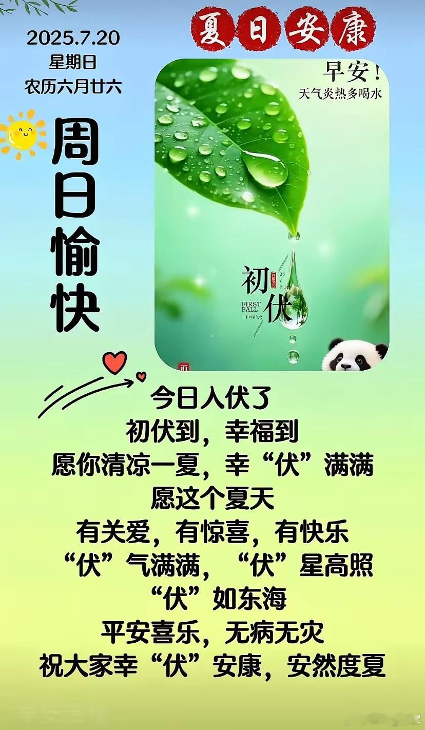 三伏贴：借天时阳火，祛沉寒痼疾——中医冬病夏治的千年智慧↘伏日之机：天地阳气鼎盛