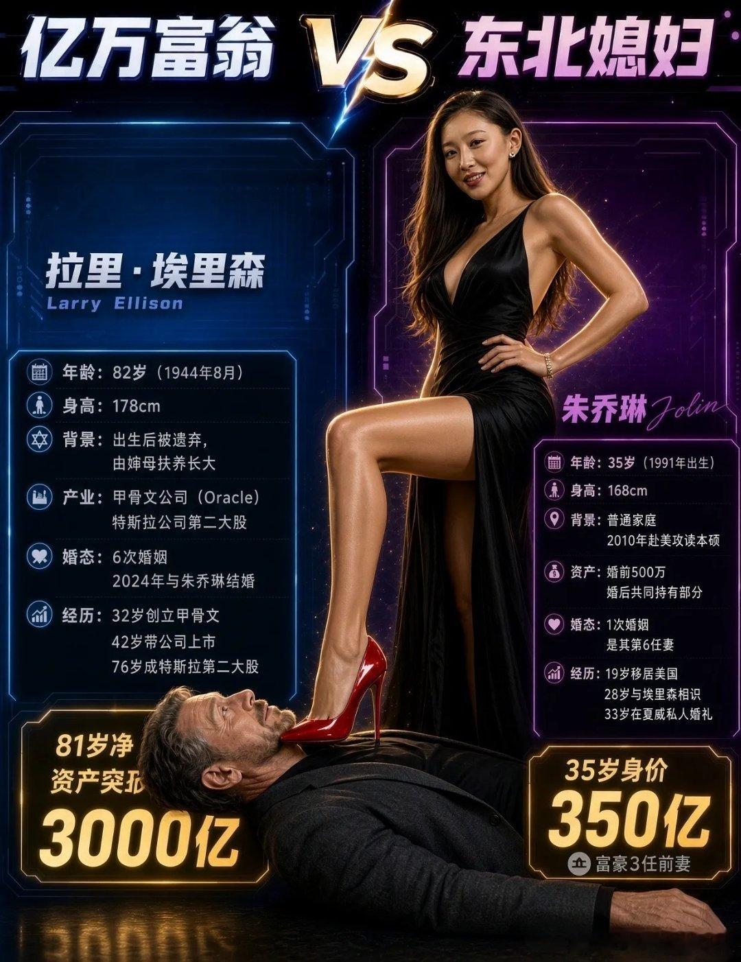 超级富豪vs东北媳妇 ​​​