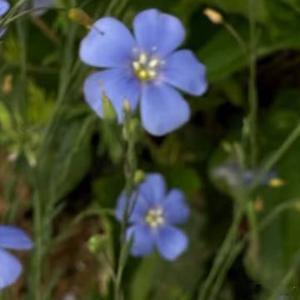 每日一善每日一善 心态 决定一切 心态乐观的人 从不会因失败消极 更不会因挫折颓