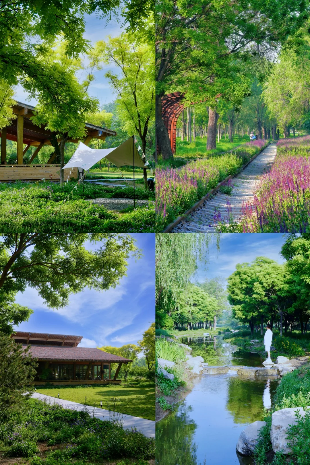 藏不住了！又找到了一个宝藏公园in北京🌳