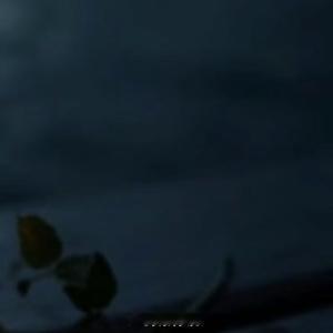 情感语录 白头并非雪可替，相识已是上上签、入了心的人、见与不见、都是想念