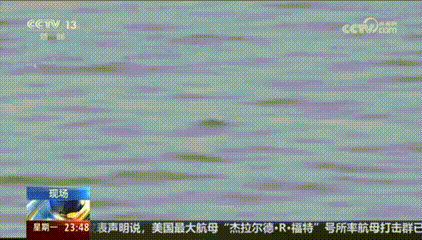 好消息！我们新洲的“江豚湾”，上央视啦！近日，CCTV-13《24小时》报道了长