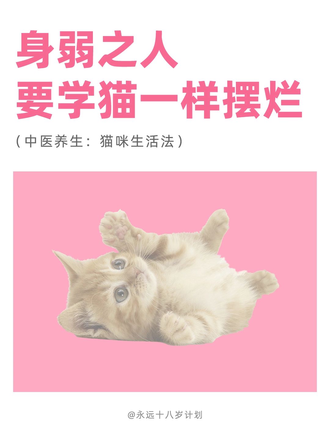 永远十八岁  身弱之人要学猫一样摆烂