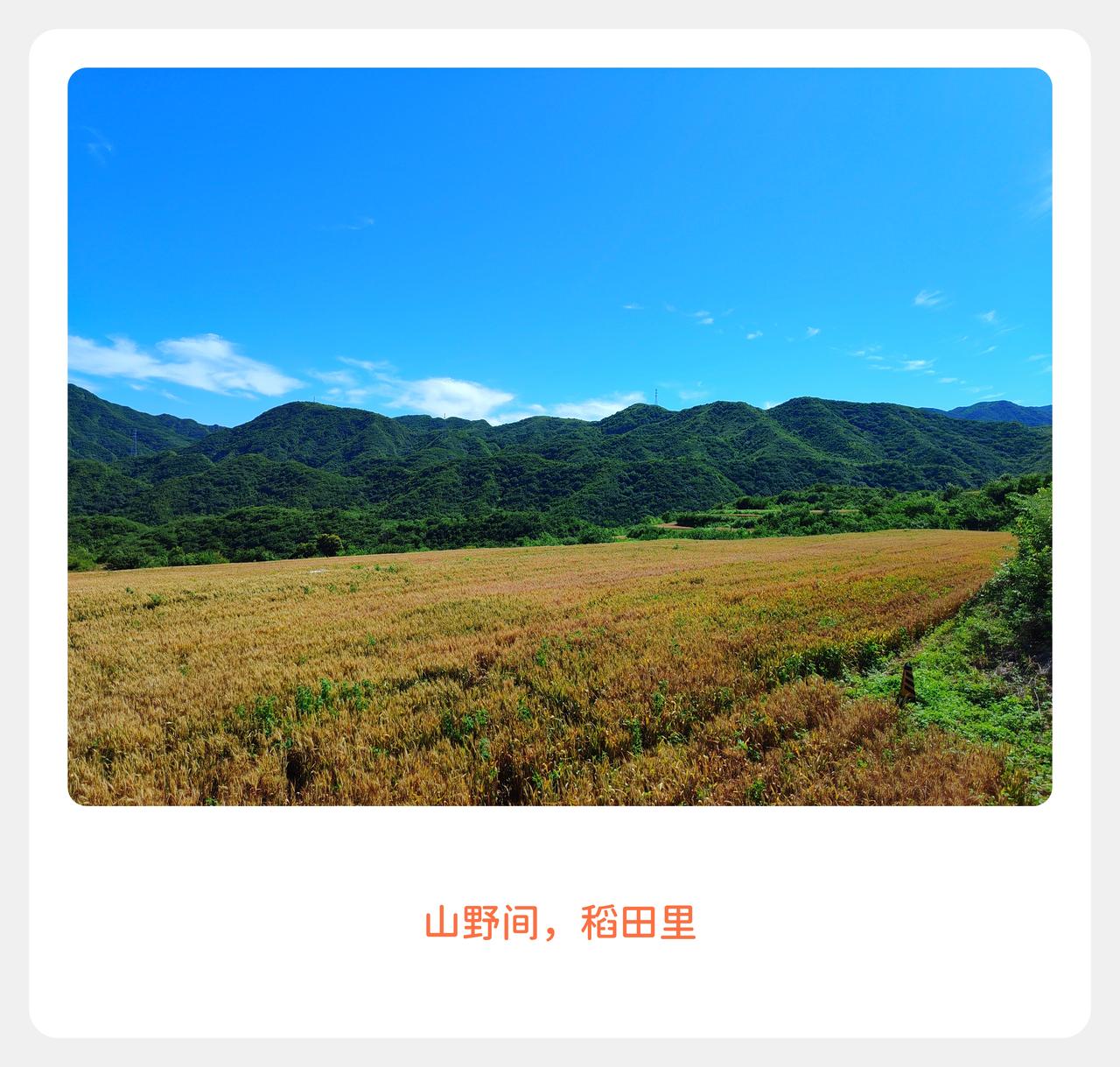 都往人海去 ，
而我入山林🚲