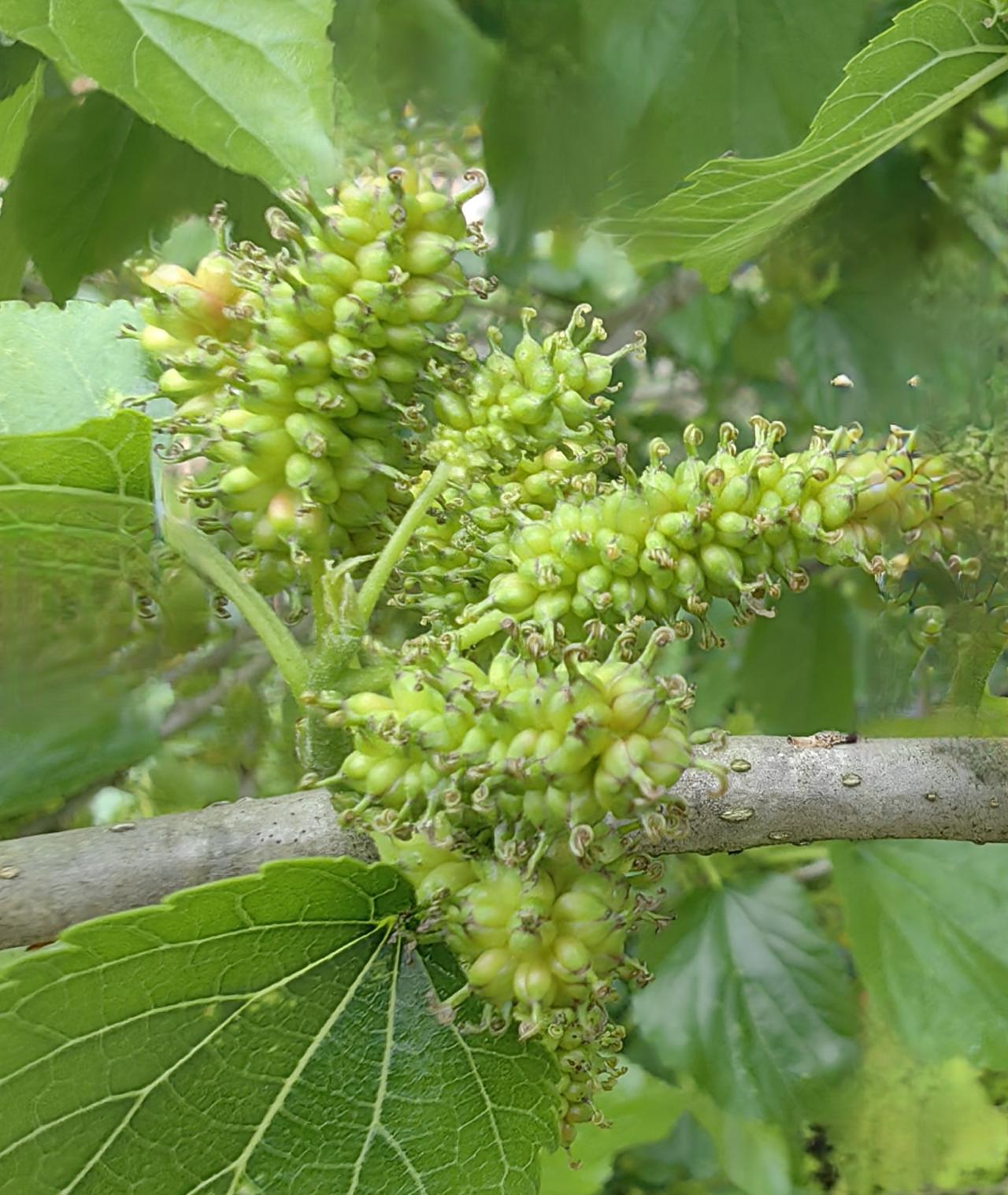 今天收盘4024.21点，微涨0.58点，涨幅0.01％，成交金额1.03万亿元