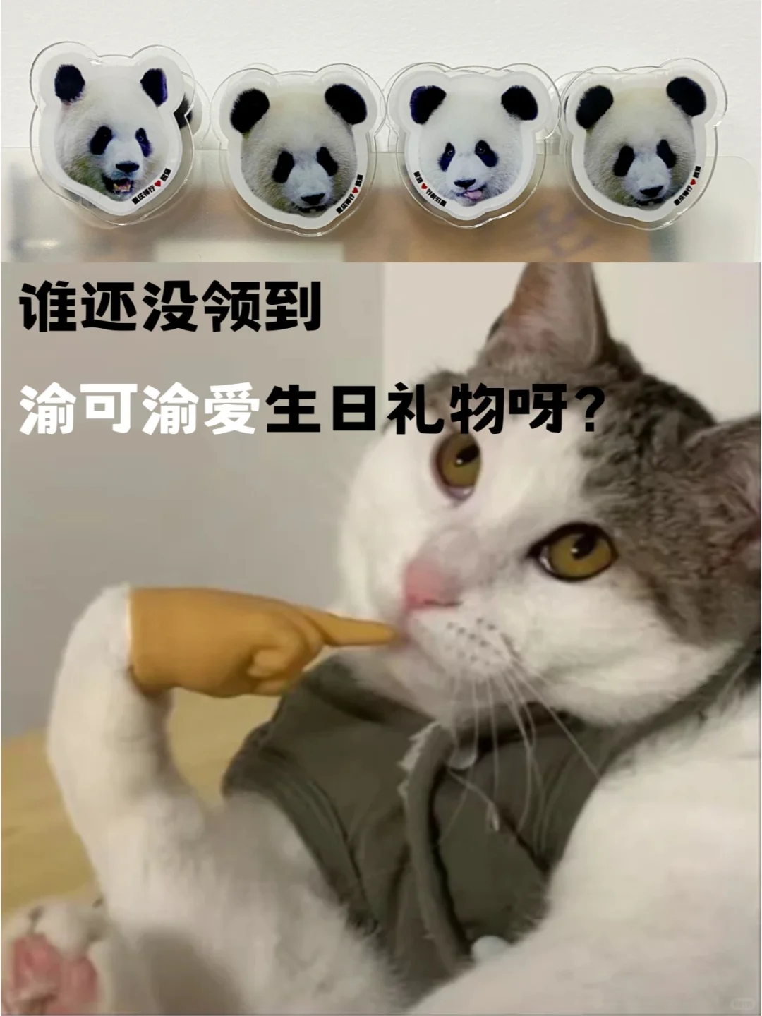 还有哪些ee没有领到渝可渝爱的生日应援的？