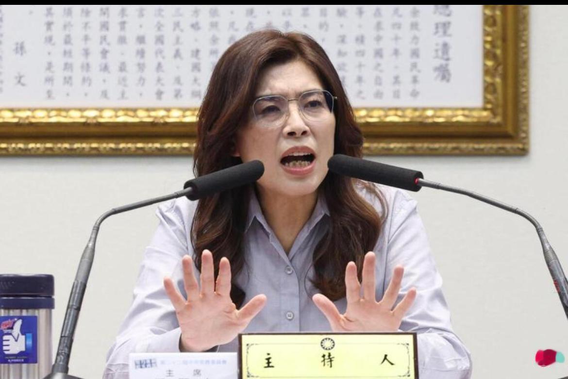 台湾在野的国民党主席郑丽文批评民进党对其党产进行“追杀”，“恨不得国民党下一秒就