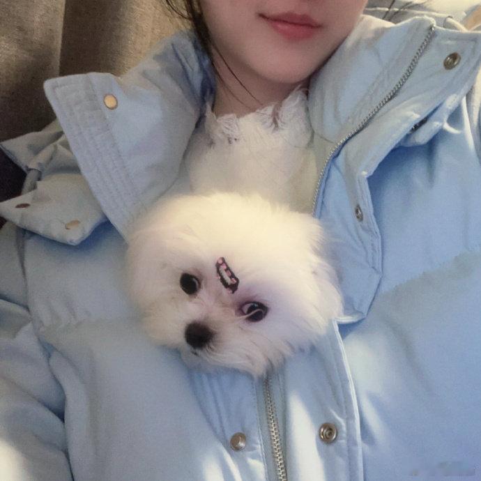 解说鼓鼓晒照“感觉越活越年轻，真是个老baby”姐姐下次可以不要把狗狗揣衣服里吗