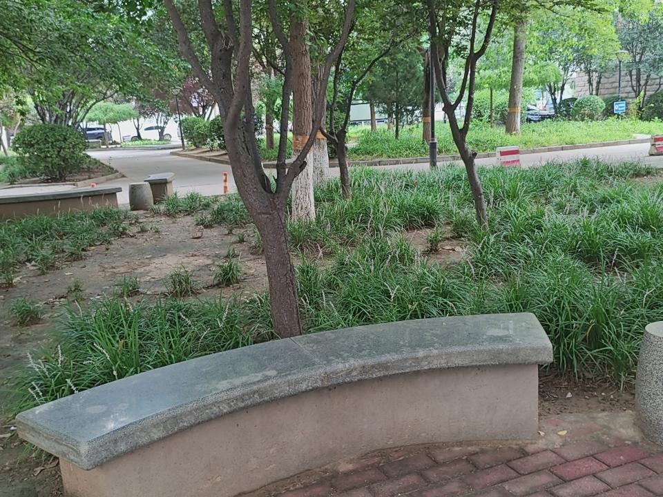 这是公园，
还是一个居住区？
您猜猜！