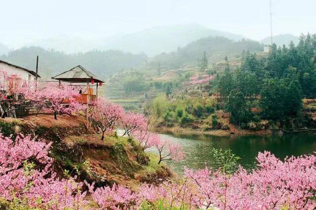 闲吟:无题

文／原点

桃花谢尽柳丝青，细雨缠绵碧水盈。

野渡无人荷莲出，深