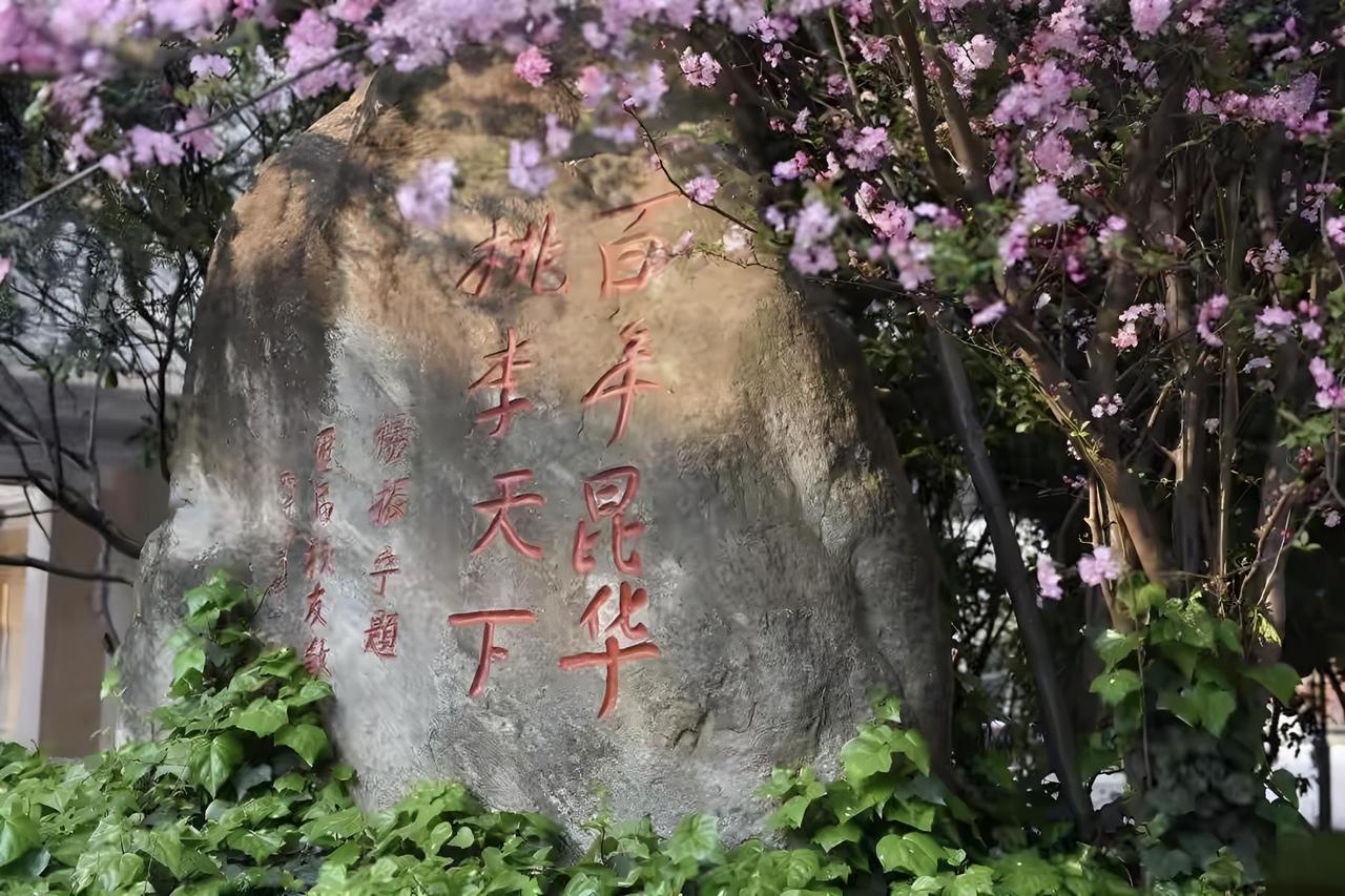 26年小升初公办自主招生，昆一中昆华实验中学打响了第一枪——开始收简历了！自主择