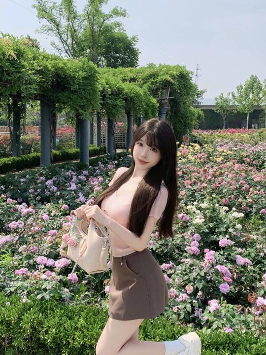 春日影像诗₊ ⊹🌸