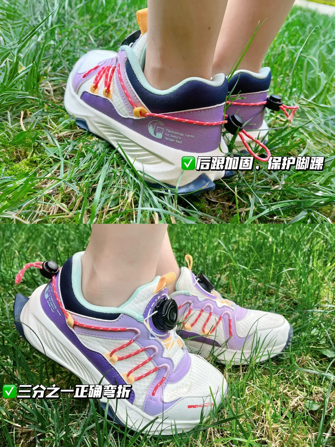 西安免费宝藏动物园❗️超近距离接触小动物❗️