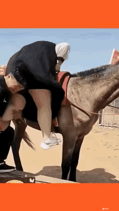 还好没上去，马又躲过了一劫