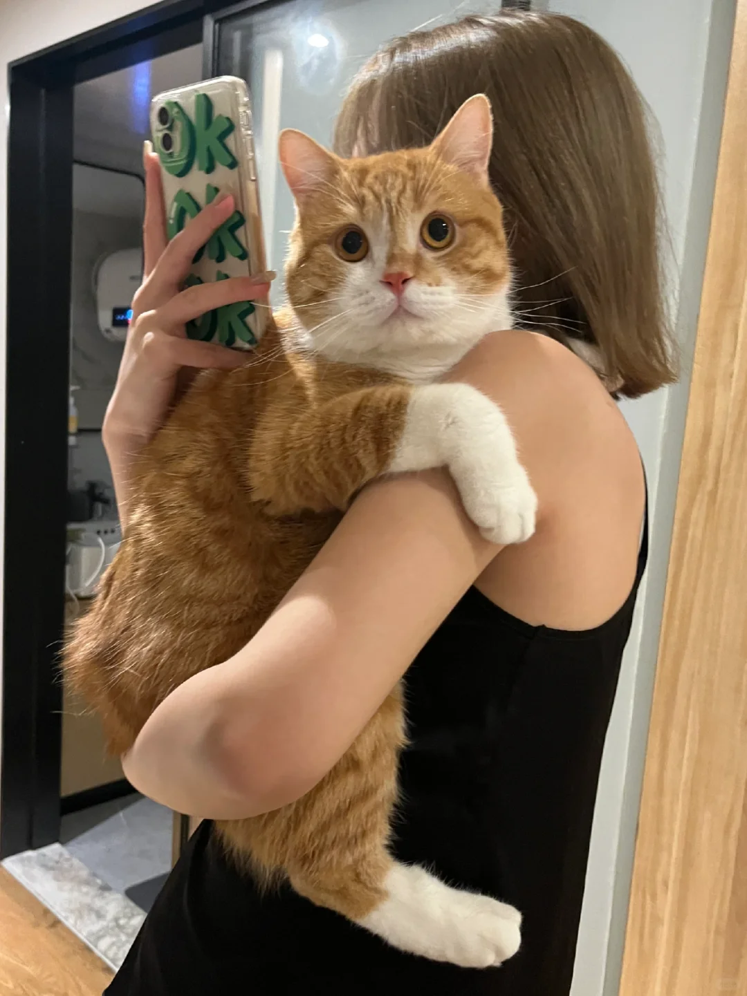 分离焦虑症很严重的猫