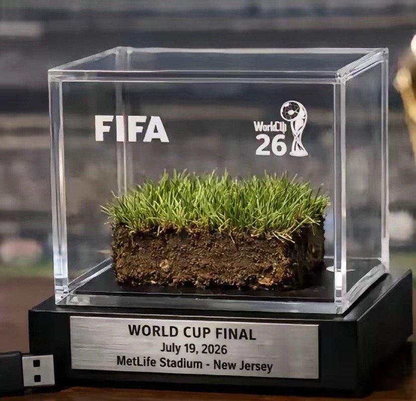 巴掌大的草皮敢卖3000刀？FIFA这生意做得绝。把决赛草坪切碎了卖，刚上架就没