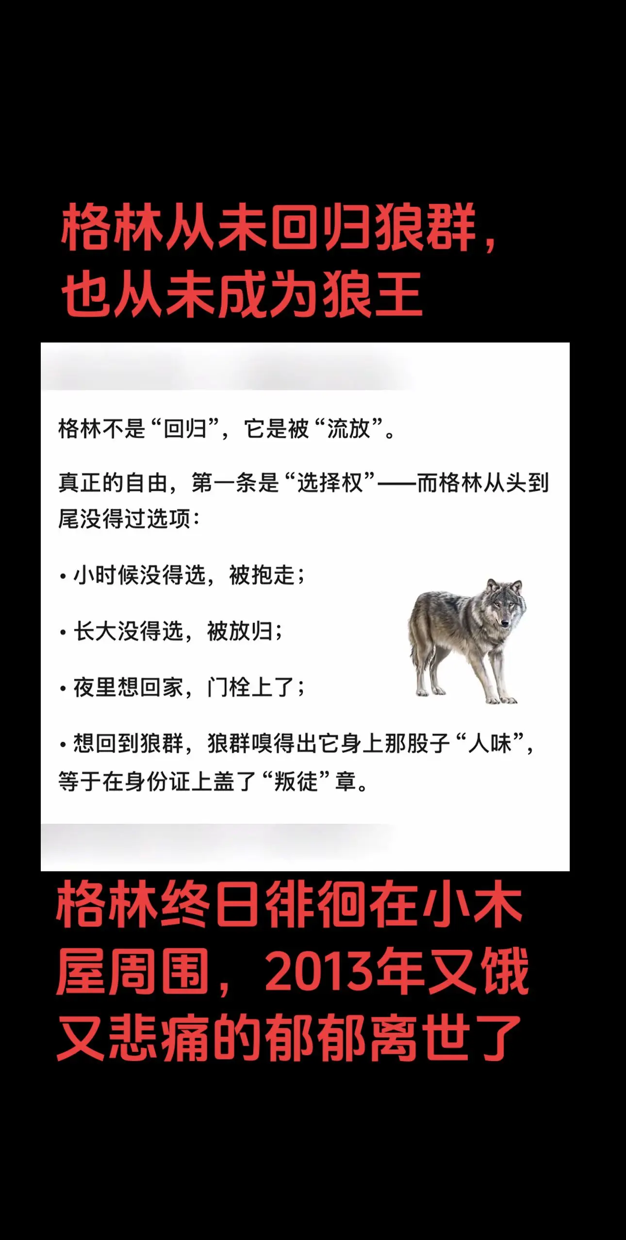 格林悲惨的命运。格林很早就去世了，大家醒醒吧！