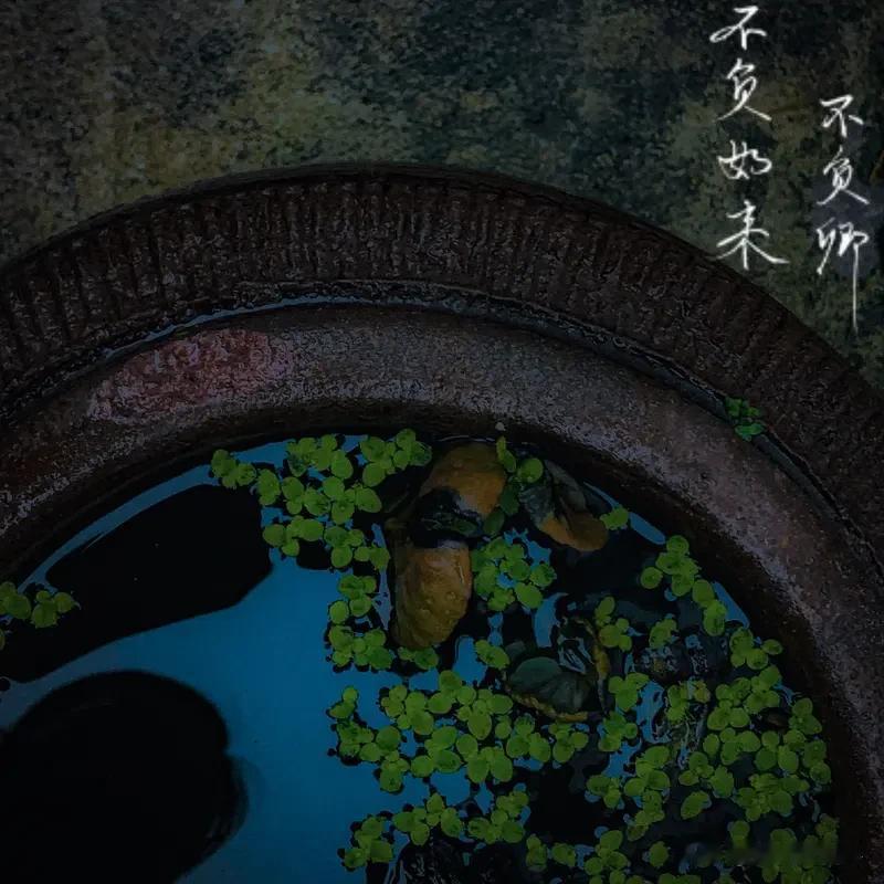 “水深不语，人稳不言”这话太有道理了。就像大海，那么深邃辽阔，却安静得很，不会到