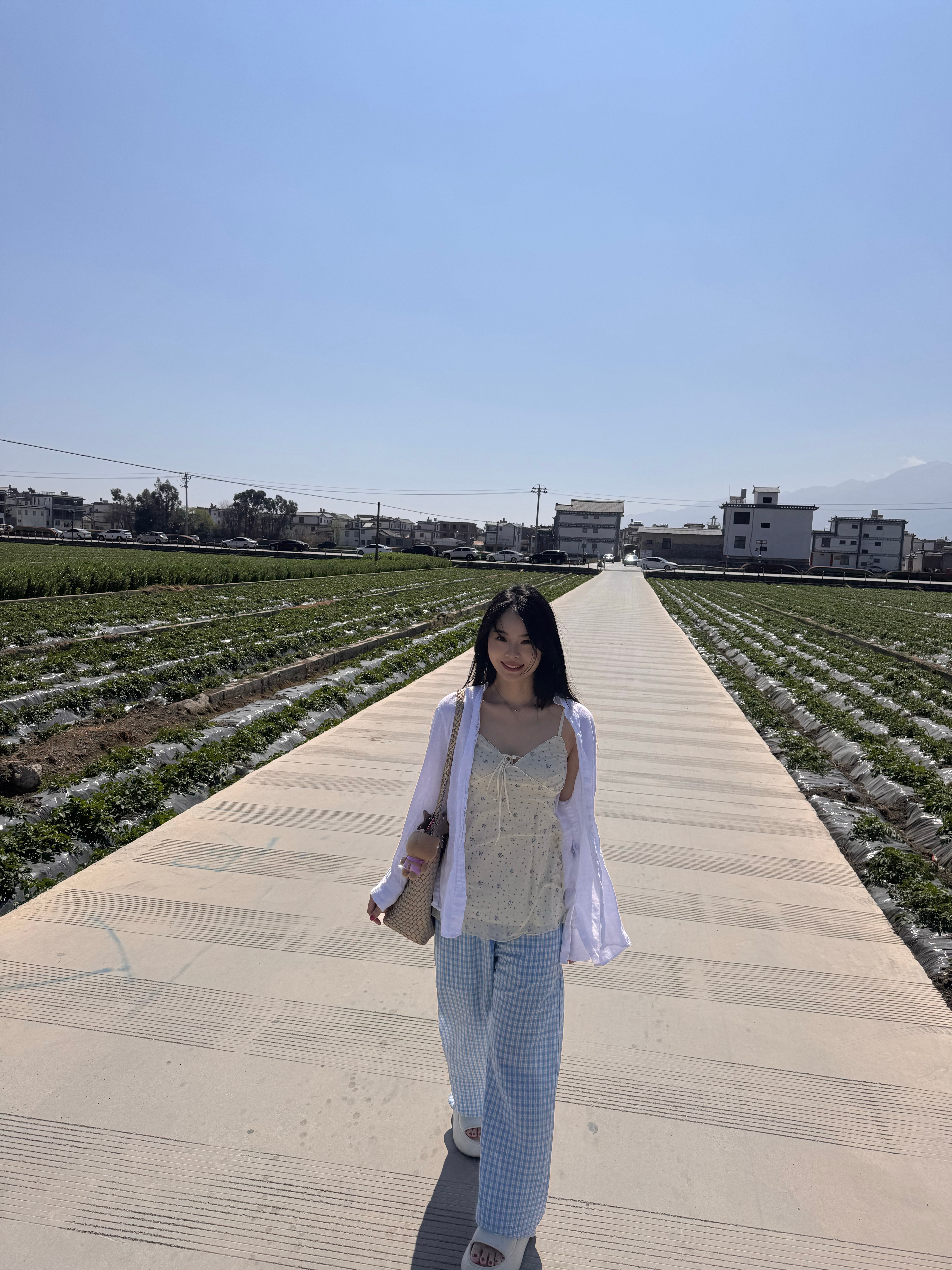 我在洱海有块田！嗯.. 