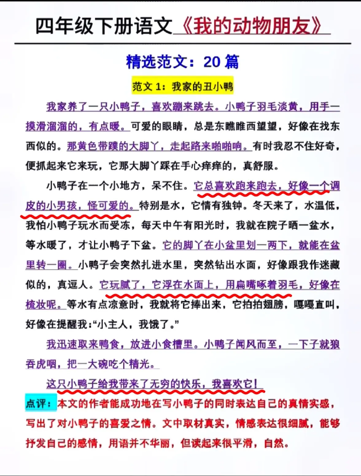 第四单元作文范文四篇
