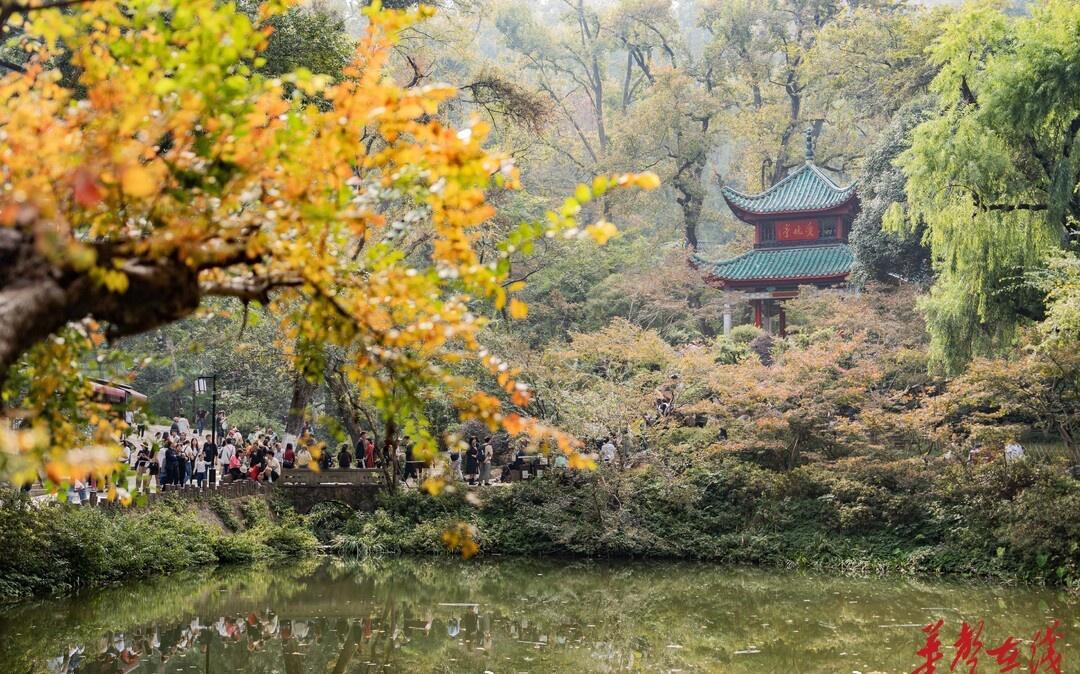 【湖南湖北人该爬山了 赏秋正当时！湖南登山赏景攻略来了】树树皆秋色，山山唯落晖。