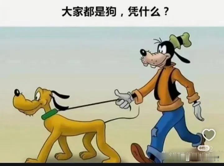 爱车又烦车！尤其是到了下雨天，街道上车山车海，红绿灯处各种车堵得人心烦！看着绿灯