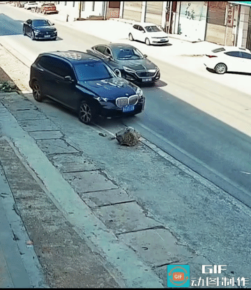 原认为推一次就好了，谁知推了一次又一次。
原认为倒车打一次方向就绕开了石头，谁知