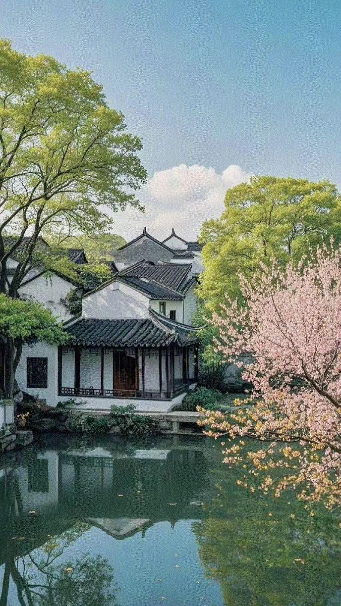 🏞️粉樱蘸水梳妆，黛瓦枕云打盹☁️。时光在此慢成一帧水墨，偷得浮生半日闲✨。