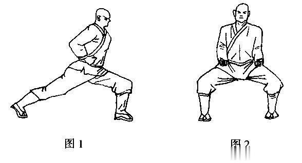 #国医的精诚力量# 马走肾，弓走肝马步疏通固实的是肾经，弓步疏通充盈的是肝经。肝