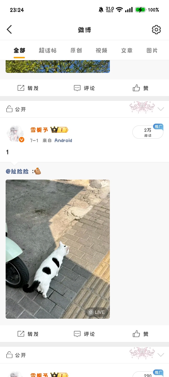 阅读量信誉图+5二手  专栏 · 呆雪清 信誉图
