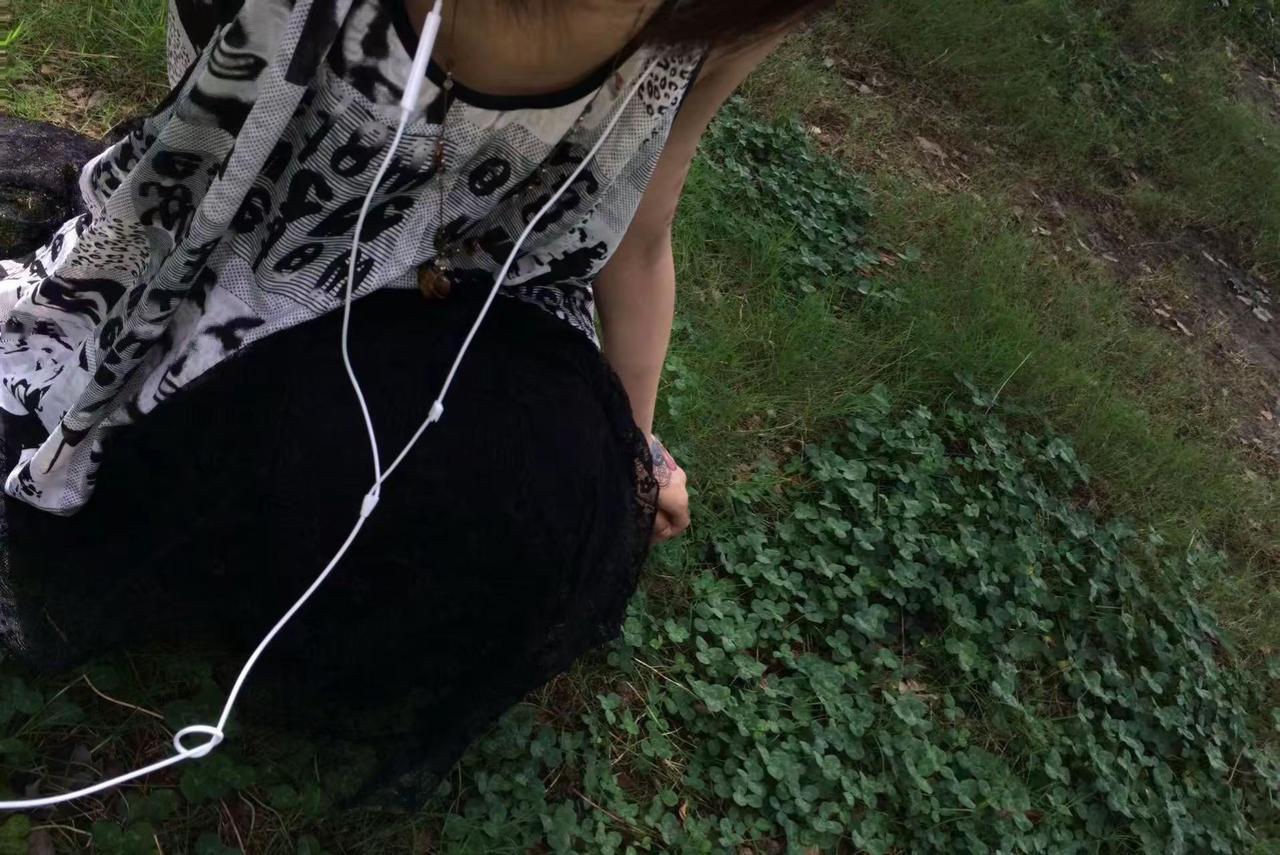 让我飞吧