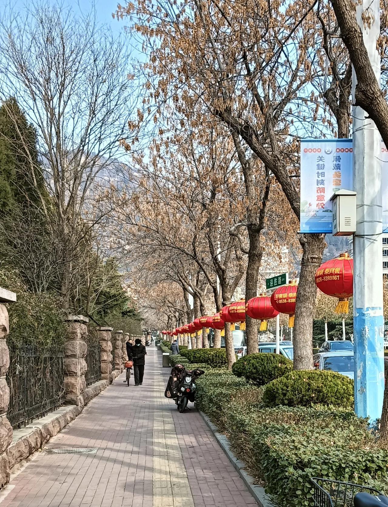 元旦春节氛围灯
(随拍，随笔)
元旦春节都在一月份，一月内过两年。今年的一月，真