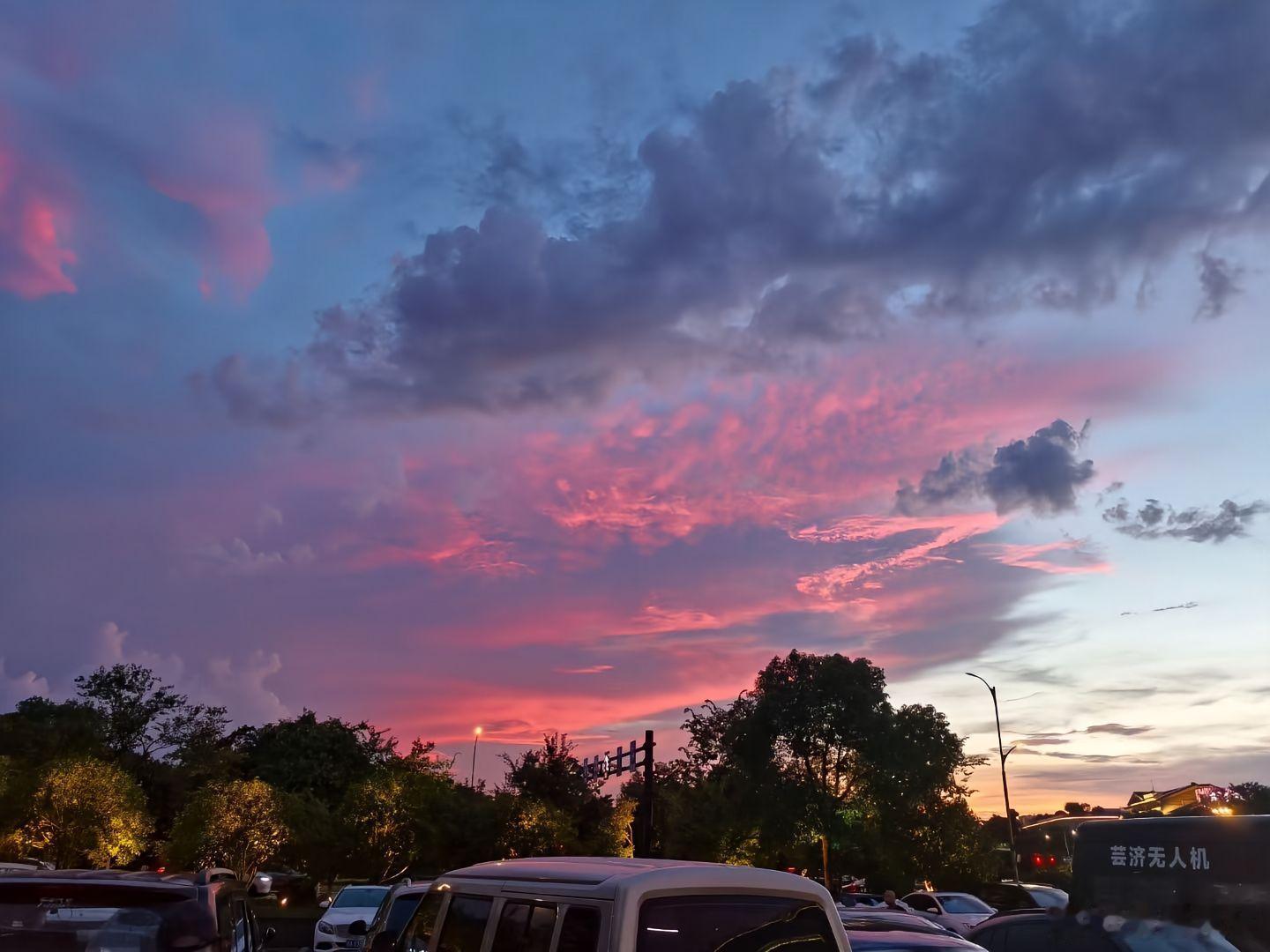 情感 从此，我不想走向任何人，也不想让任何人靠近我。我选择重新回到孤独之中，以平