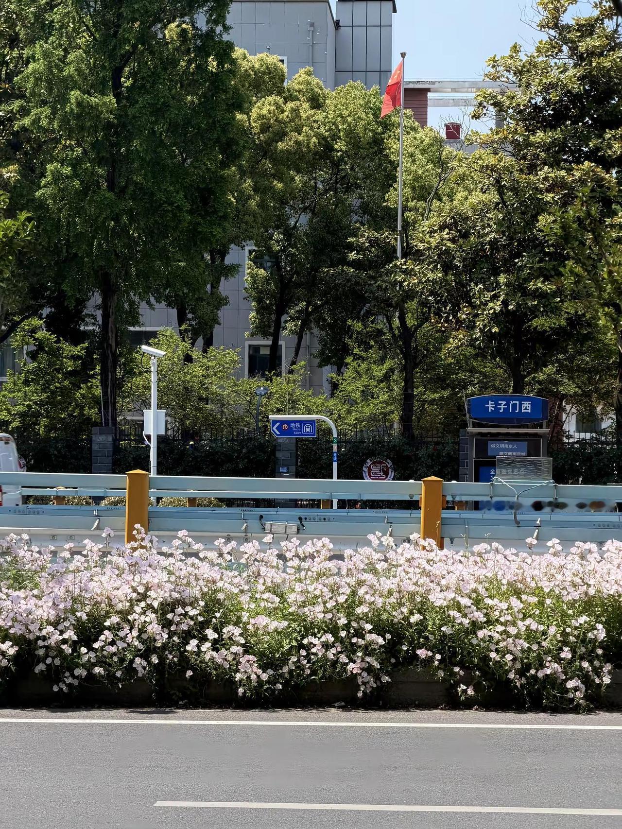 拥有什么 我就享受什么。生命力 松弛感