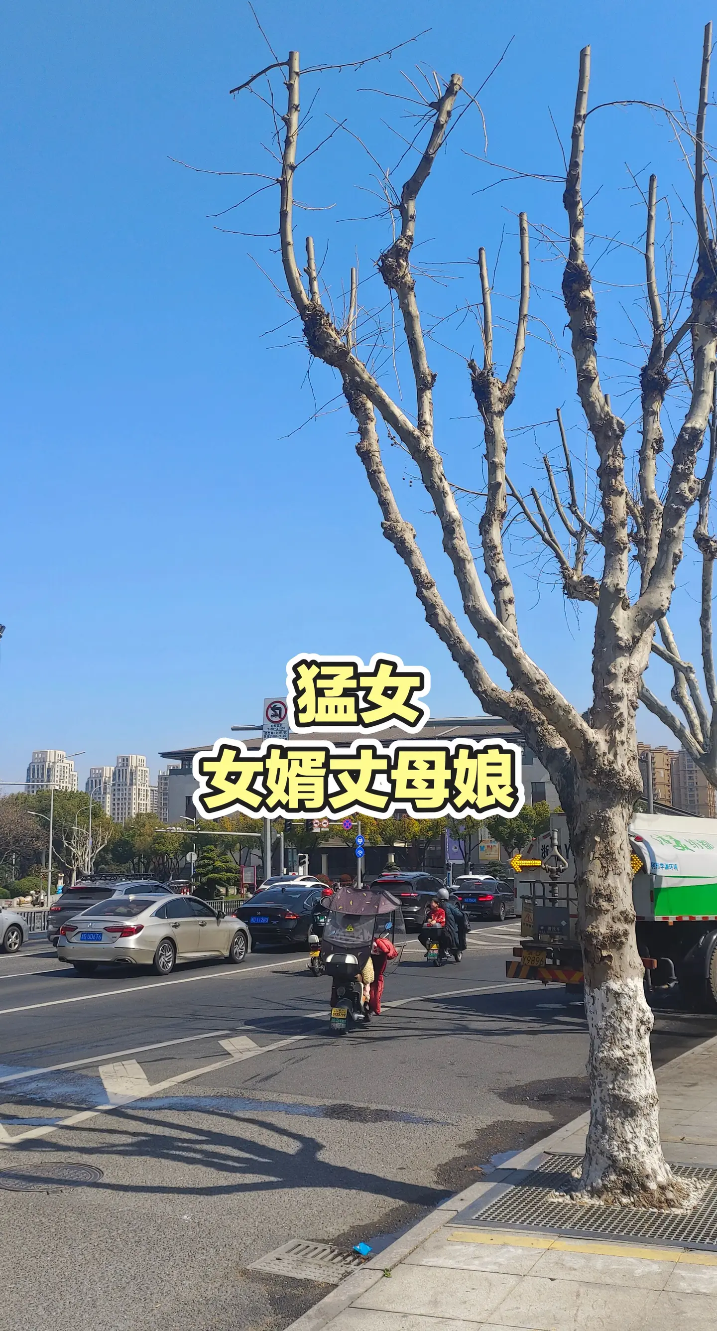 分享娱乐八卦