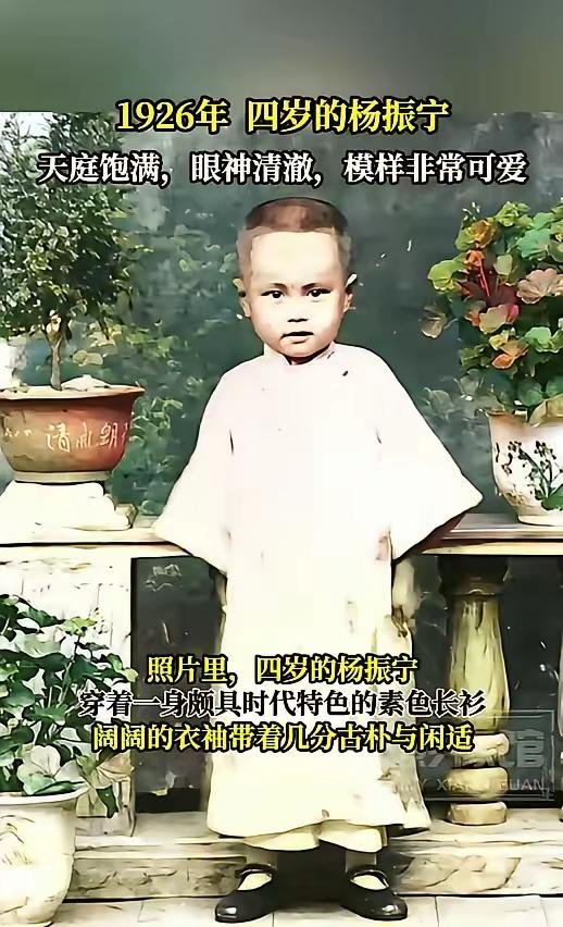 “杨大头”唯一的缺点是没父亲长得帅。总听人说“人生忌满”，他的人生满得都溢出几公