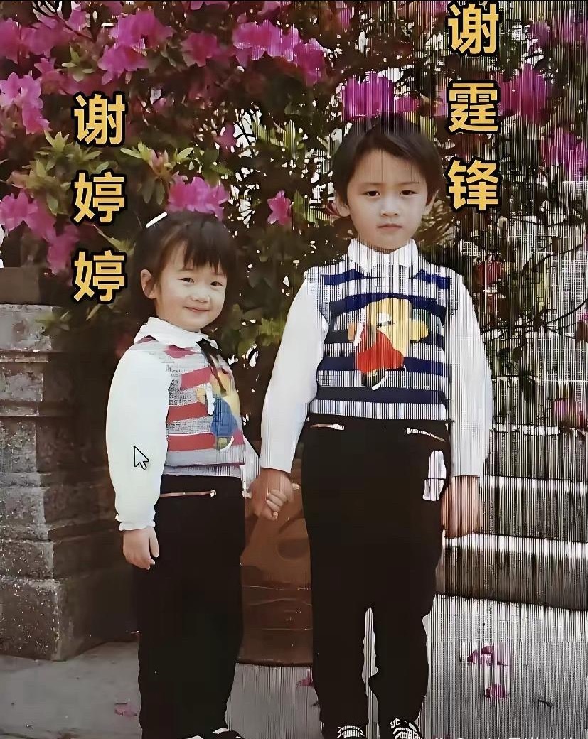 谢霆锋和谢婷婷就是典型的儿子像妈，女儿像爸。 