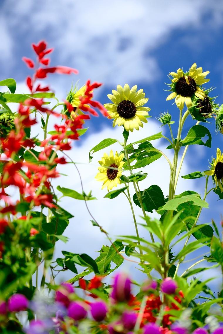 以前总以为掏心掏肺是待人真诚，后来摔了跟头才懂，有些话只能烂在肚子里。

人这一