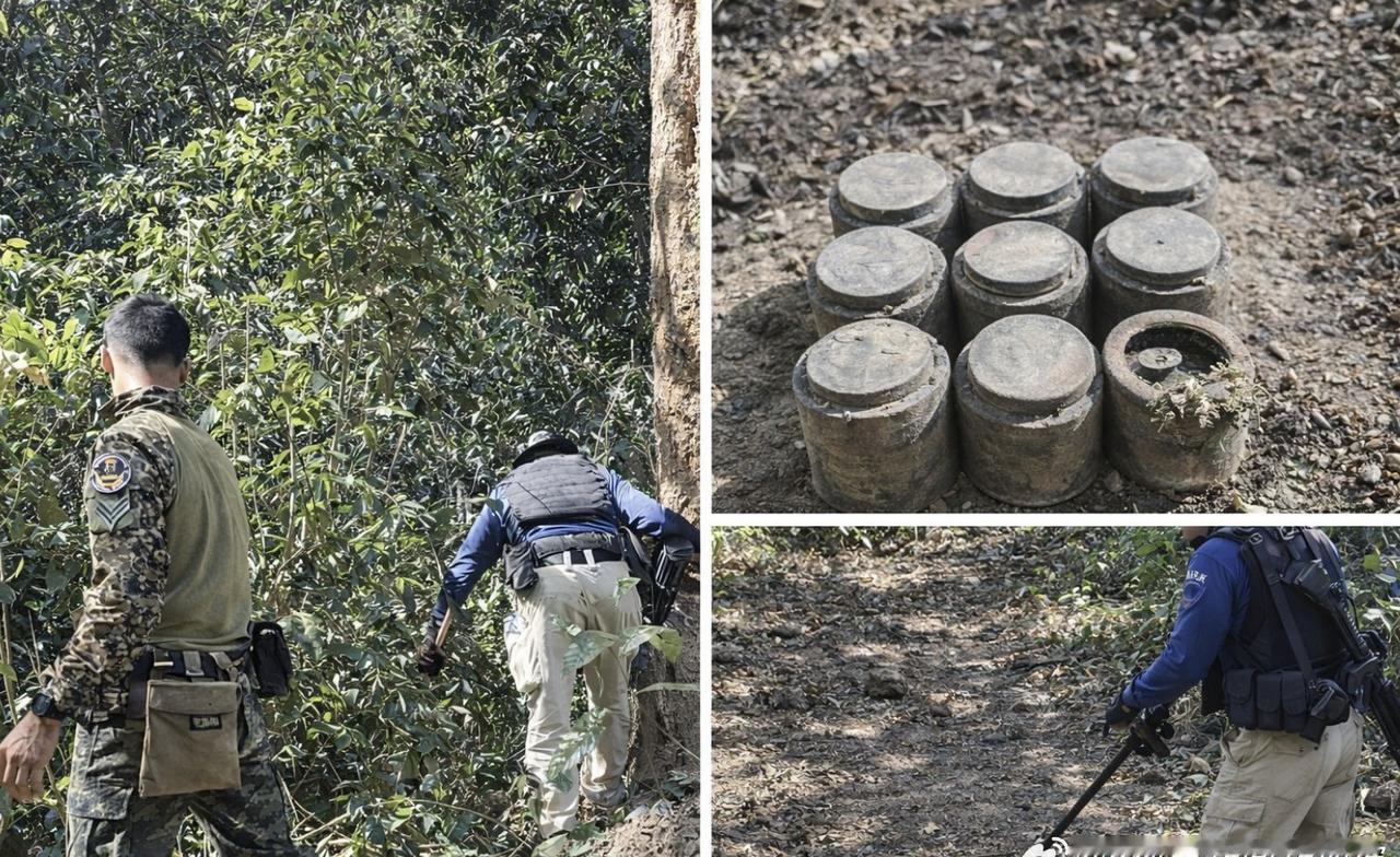 【泰国素林府边境清理行动发现九枚地雷】在泰国与柬埔寨接壤的素林府边境地区，排雷人