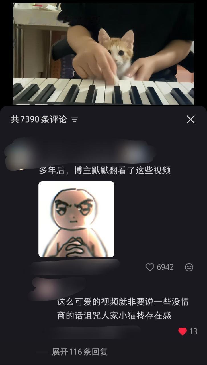 原作品只是一只小猫在弹琴，评论区： 