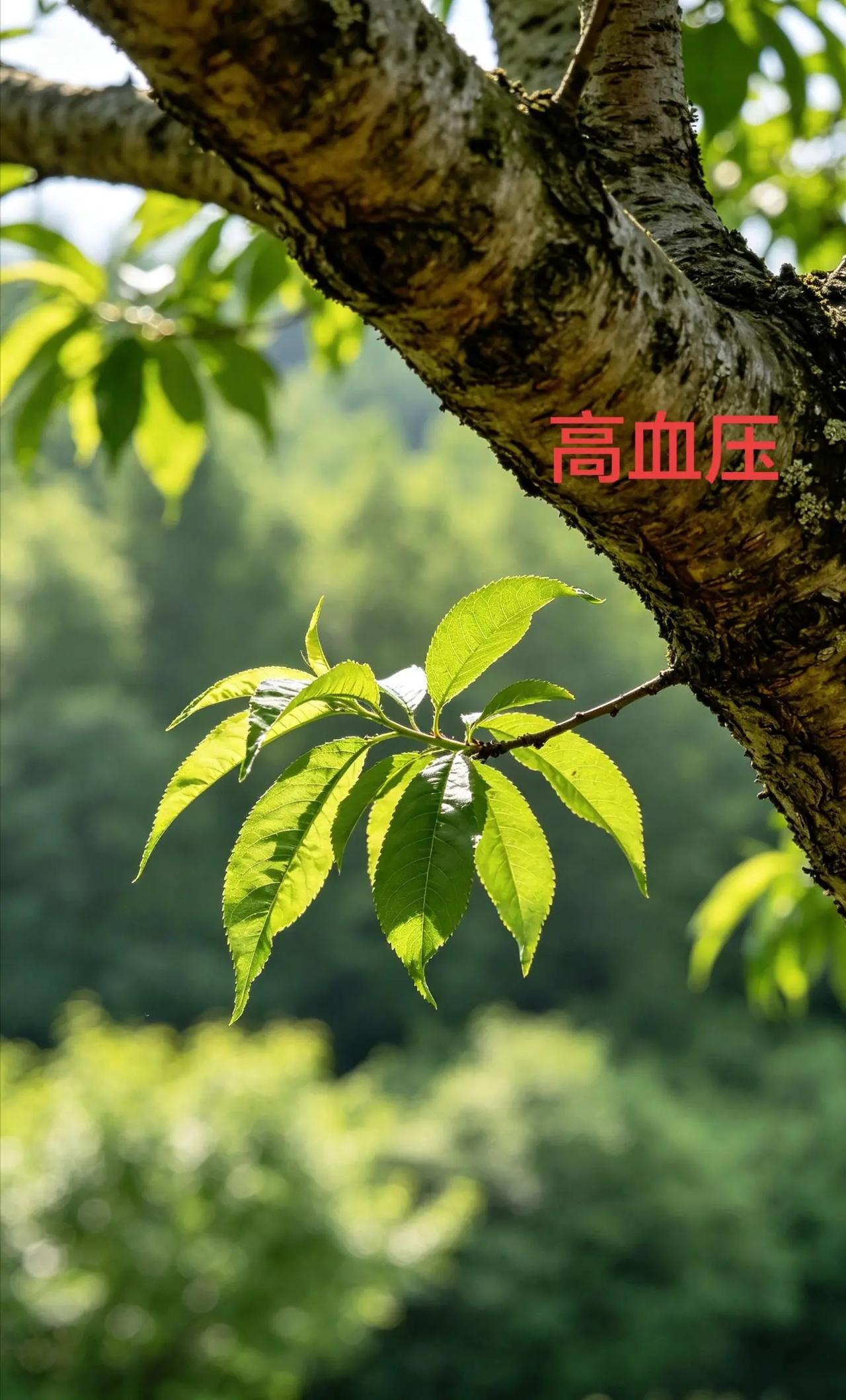 睡了一觉想通了，我要享受比赛”职业生涯首次晋级世锦赛四强，吴宜泽接受媒体采!访